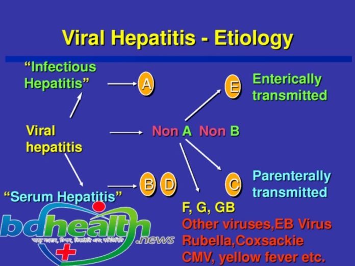 ভাইরাল হেপাটাইটিস,Viral Hepatitis